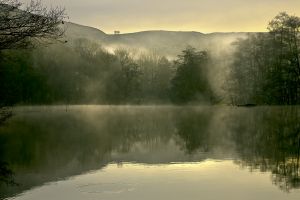 Calver Mist WEB.jpg
